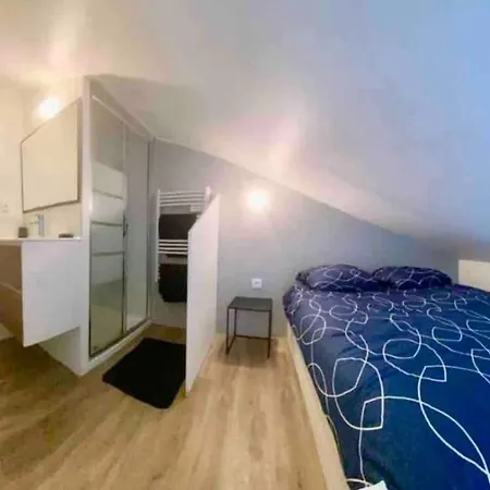 アパート T1 Bis Duplex Recent + Parking+jardin Bien Place