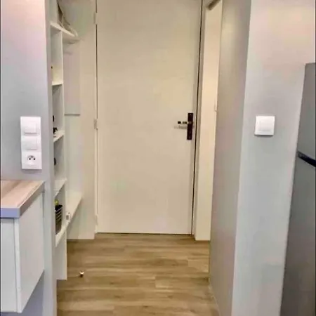アパート T1 Bis Duplex Recent + Parking+jardin Bien Place *